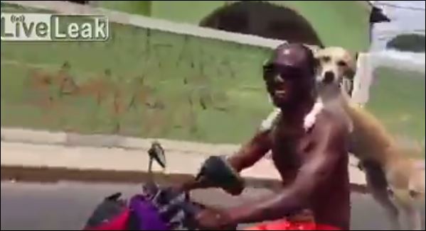 ΒΙΝΤΕΟ-Πήγε τον σκύλο βόλτα με τη… μηχανή