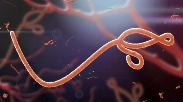 Tσεχία-Απειλούν ότι θα σπείρουν τον ιό Έμπολα στη χώρα