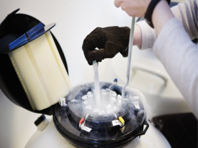 Μήνυσε την τράπεζα σπέρματος