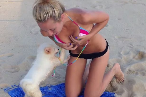 BINTEO-Άτακτο κουτάβι προσπάθησε να βγάλει το μαγιό τραγουδίστριας