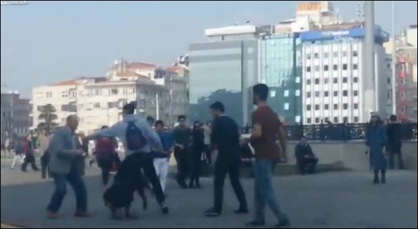 ΒΙΝΤΕΟ-Ο σκύλος σταμάτησε τον… καυγά