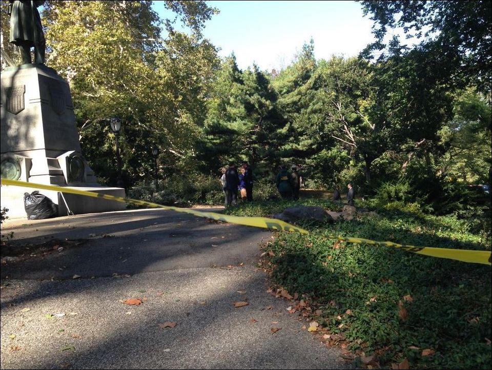 Βρήκαν νεκρή αρκούδα στο Σέντραλ Παρκ