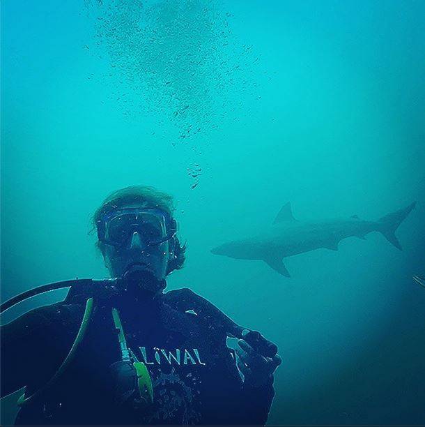 ΦΩΤΟ-Η καλύτερη φωτογραφία καρχαρία;