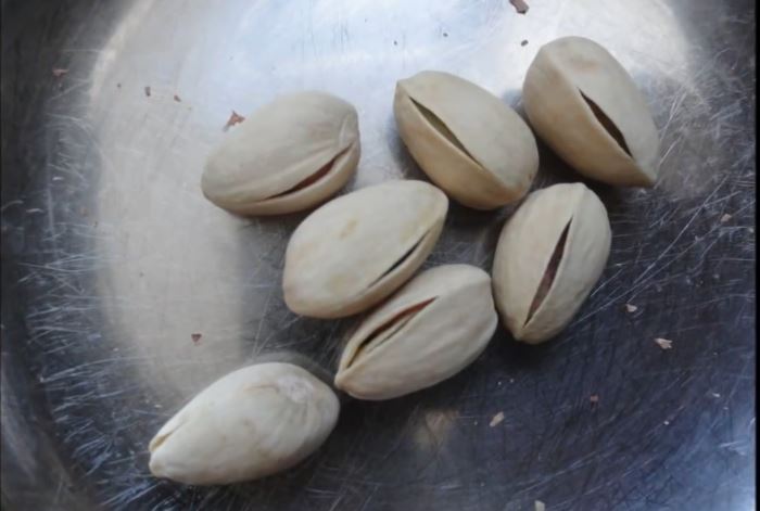 ΒΙΝΤΕΟ-Πώς να ανοίξεις τα κλειστά φιστίκια Αιγίνης