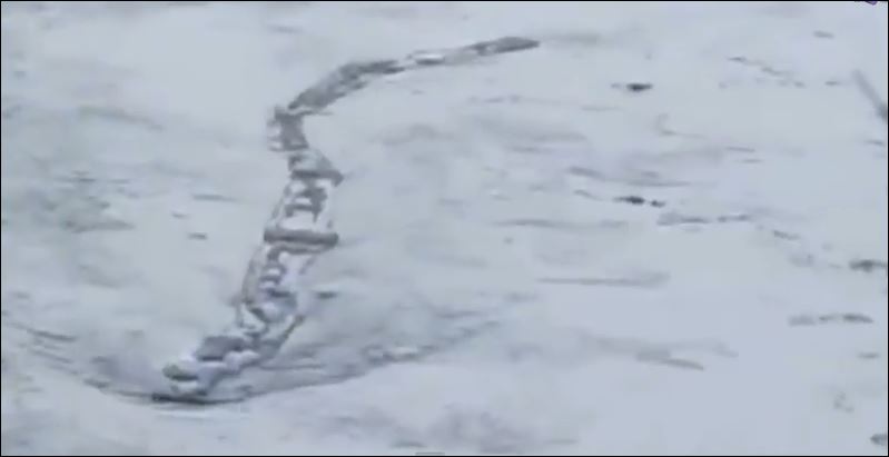 ΒΙΝΤΕΟ-Και οι Ισλανδοί έχουν το δικό τους τέρας του Λόχνες