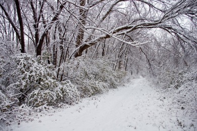 ΒΙΝΤΕΟ-Χιονισμένη η ορεινή Καστοριά