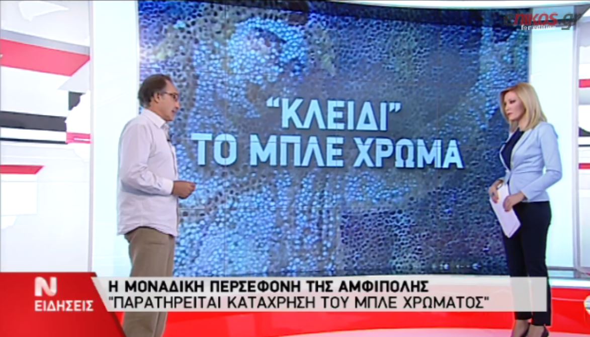 ΒΙΝΤΕΟ-Αμφίπολη-“Ο καλλιτέχνης έχει παγώσει το δευτερόλεπτο στην αιωνιότητα”