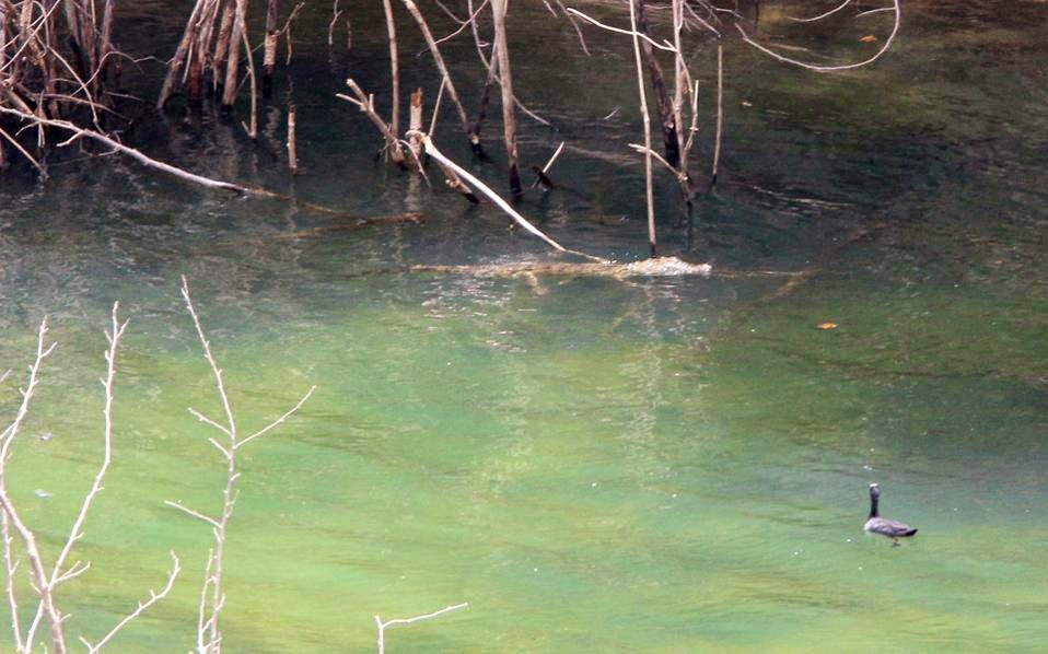 Η τύχη του Σήφη κρίνεται στα… δικαστήρια