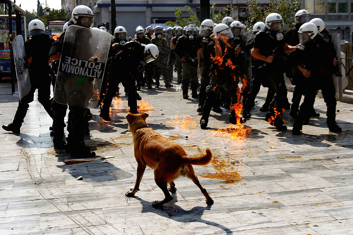 ΒΙΝΤΕΟ-Ο διεθνής Τύπος για τον Λουκάνικο