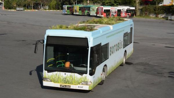 ΒΙΝΤΕΟ-To πρώτο “βοτανικό” λεωφορείο του κόσμου στους δρόμους της Κωνσταντινούπολης