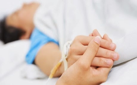 Έχουν συνείδηση οι “ασθενείς φυτά”