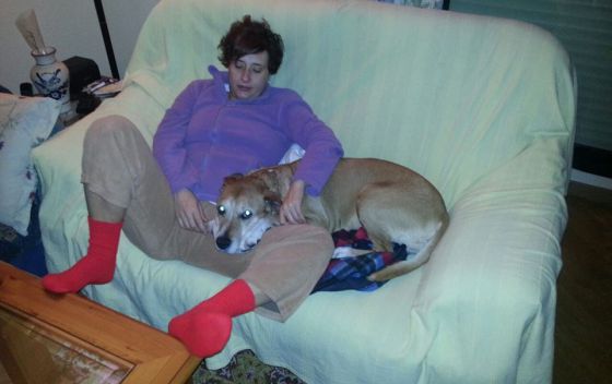 Άδικα θανατώθηκε ο σκύλος της Ισπανίδας νοσοκόμας;