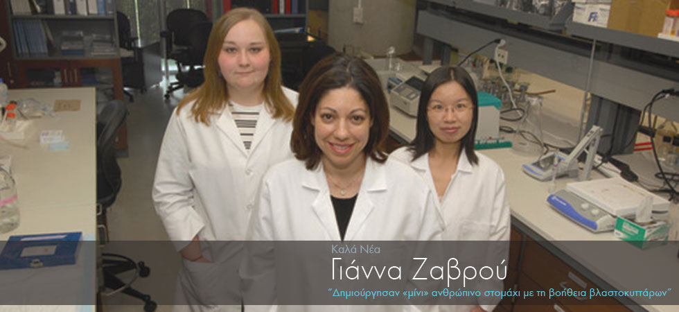 Ελληνίδα συμμετείχε στη δημιουργία στομάχου με βλαστοκύτταρα