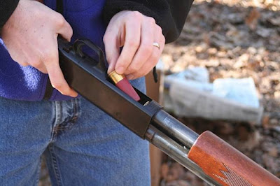 Νέα κτηνωδία- Σκότωσε σκύλο με καραμπίνα