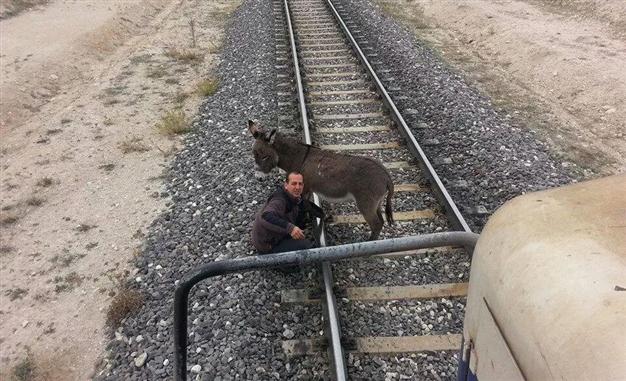 ΦΩΤΟ-Έδεσαν γαϊδουράκι σε ράγες τρένου