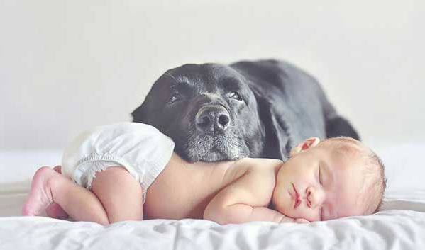 ΦΩΤΟ-Όταν ο σκύλος γίνεται ο καλύτερος φίλος των παιδιών