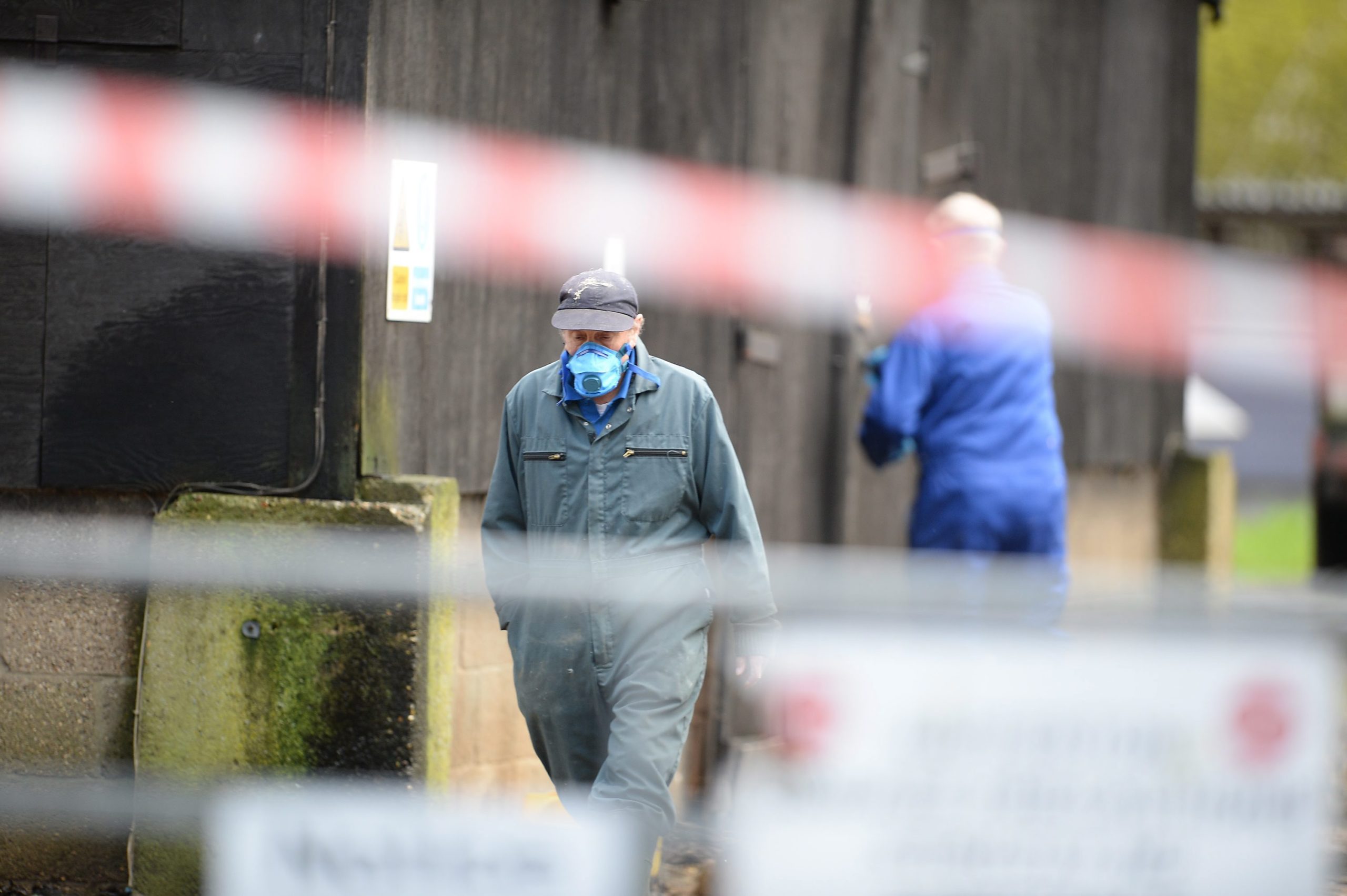 ΦΩΤΟ-Κρούσμα γρίπης των πτηνών στη Βρετανία