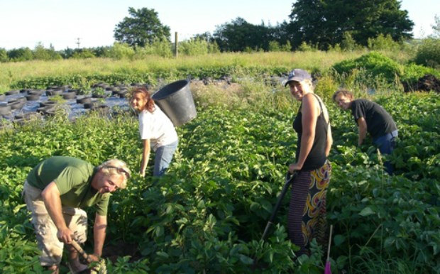 ΗΠΑ-Η μεταναστευτική μεταρρύθμιση θα γλιτώσει 250.000 εργαζόμενους