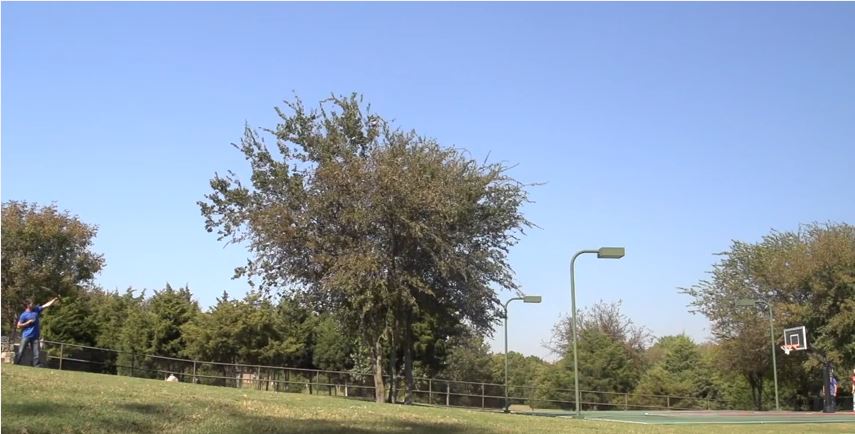 ΒΙΝΤΕΟ-Σουτ και… καλάθι με τόξο