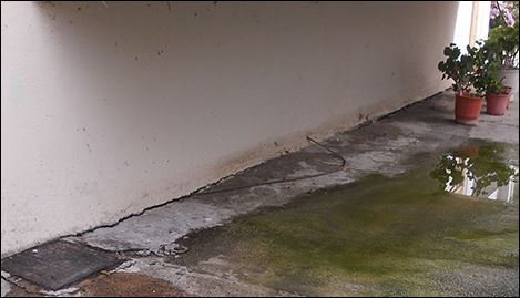 ΦΩΤΟ-Συνεχίζουν να «κολυμπούν» στα βοθρολύματα