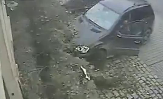 ΒΙΝΤΕΟ-Δέντρο καταπλάκωσε αυτοκίνητο