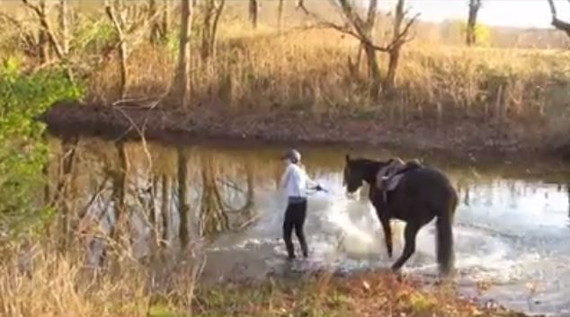 ΒΙΝΤΕΟ-Όταν ένα άλογο μπαίνει για πρώτη φορά στο νερό