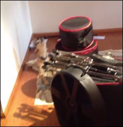 ΒΙΝΤΕΟ-Ο σκύλος που… τραγουδάει