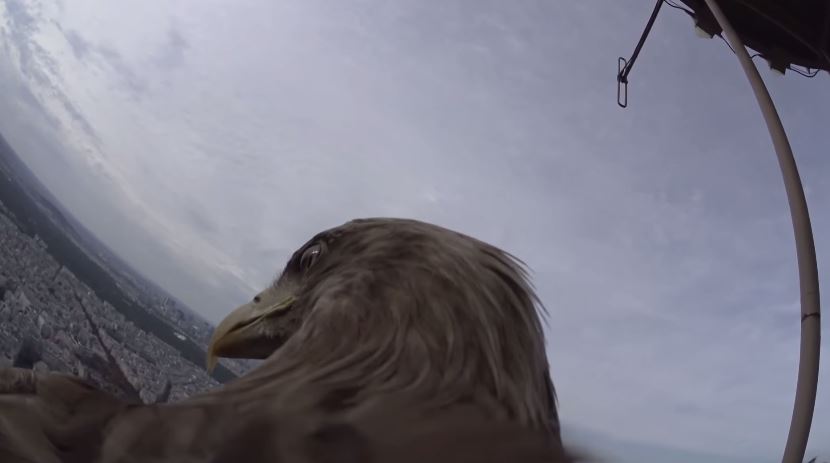 ΒΙΝΤΕΟ-Το Παρίσι με τα… μάτια ενός αετού