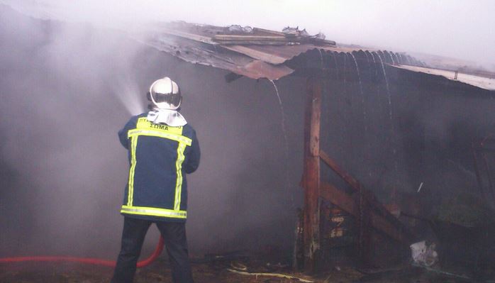 Στις φλόγες τυλίχθηκε πτηνοτροφική μονάδα