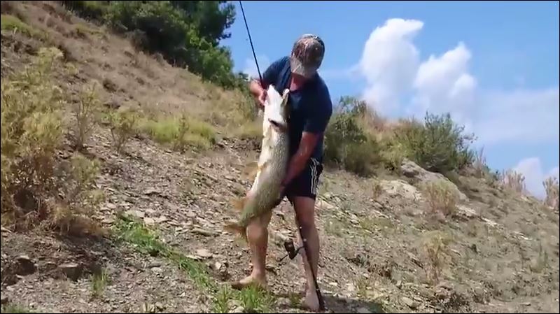 ΒΙΝΤΕΟ-Το ψάρι… δραπέτευσε