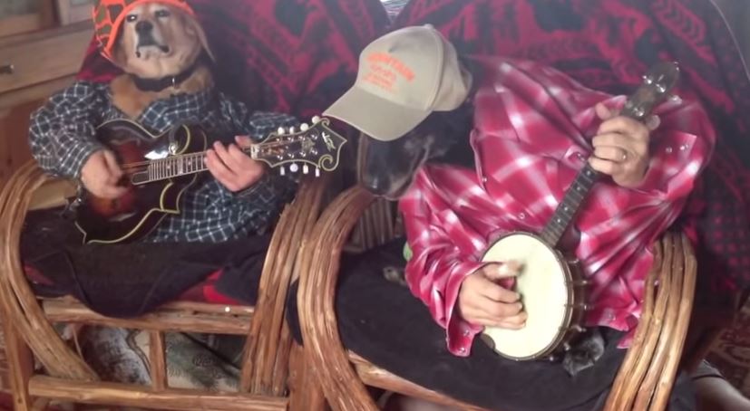 ΒΙΝΤΕΟ-Αυτοί δεν παίζουν…σκυλάδικα