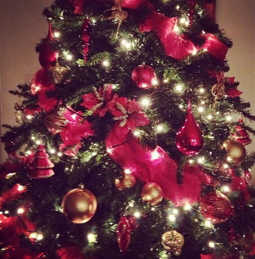 Το Χριστουγεννιάτικο δέντρο της παρουσιάστριας