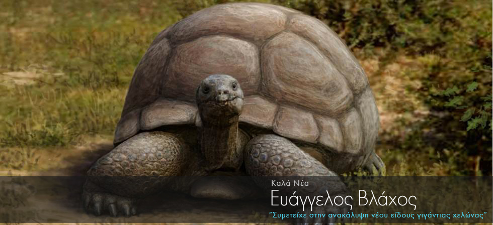 Έλληνας ανακάλυψε νέο είδος γιγάντιας χελώνας