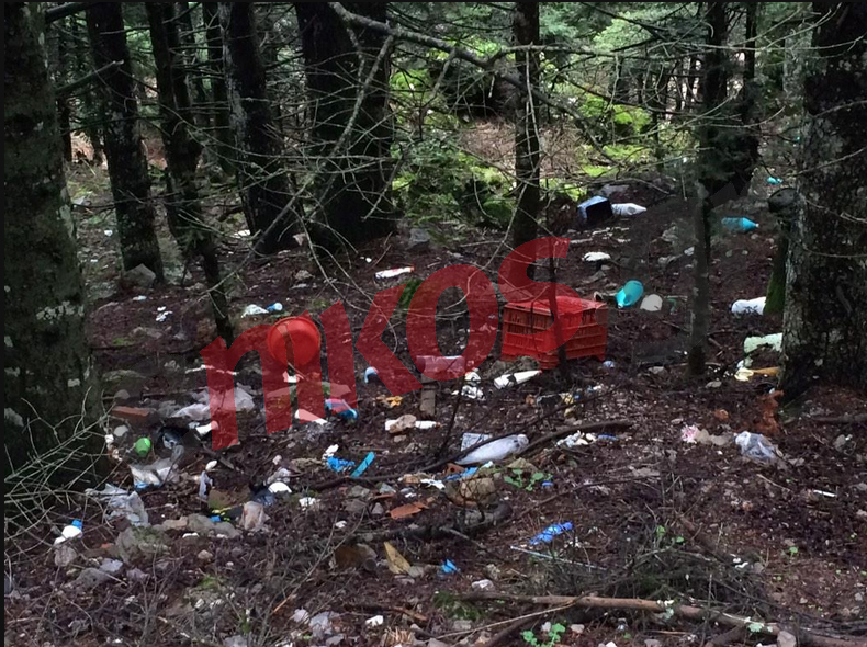 ΦΩΤΟ-Έκαναν τον Παρνασσό “χωματερή”