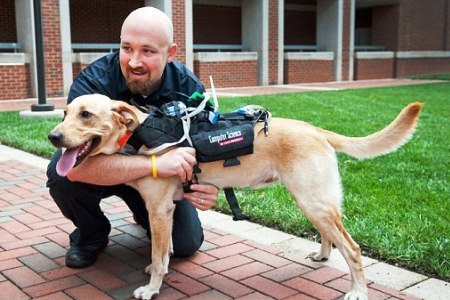 “Έξυπνο” σακίδιο επιτρέπει την επικοινωνία σκύλου-ανθρώπου