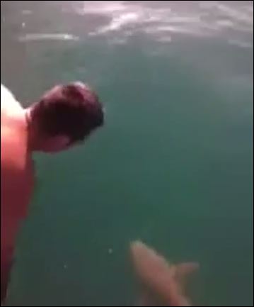 ΒΙΝΤΕΟ-Βούτηξε στην “αγκαλιά” του καρχαρία