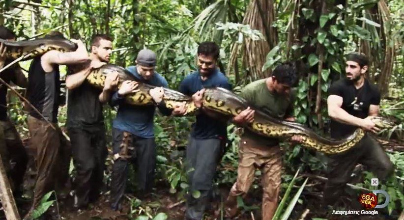 ΒΙΝΤΕΟ-Με ειδική στολή στο στομάχι του… ανακόντα