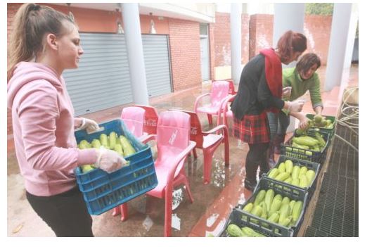 ΦΩΤΟ-Έτοιμο το γιγάντιο μπριάμ
