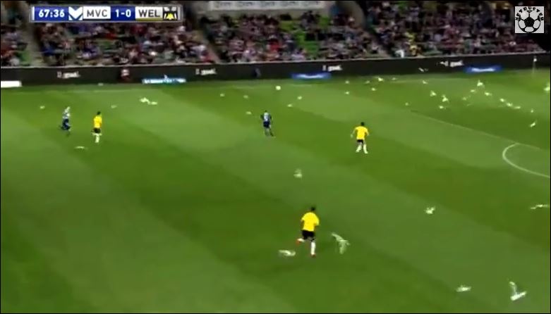 ΒΙΝΤΕΟ-Γλάροι εισέβαλαν στον αγωνιστικό χώρο