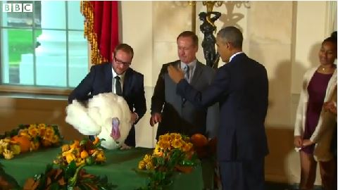 ΒΙΝΤΕΟ-Ο Ομπάμα δίνει ζωή σε 2 γαλοπούλες