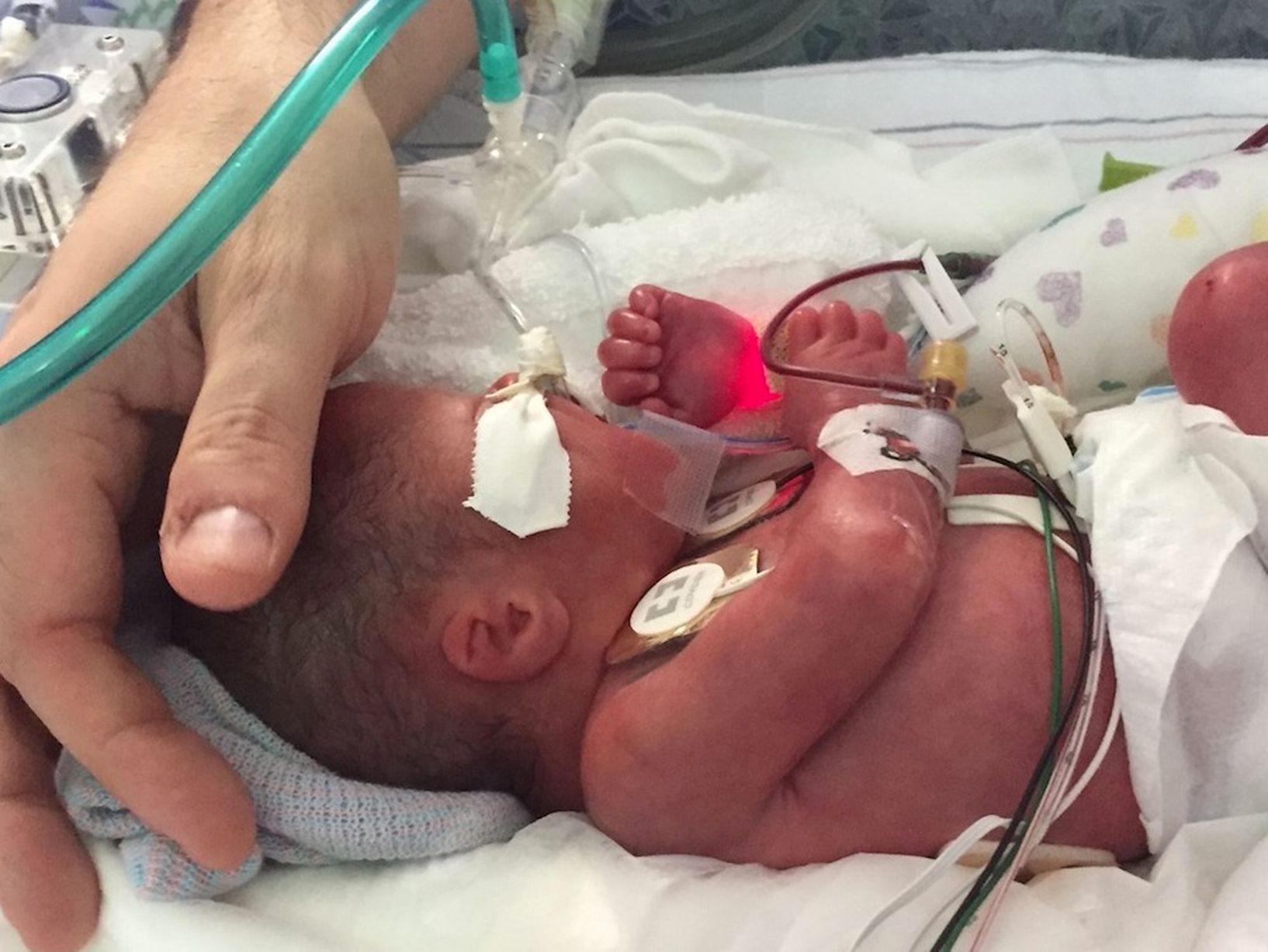 Ashley Picco Memorial Fund