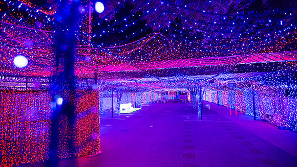 Αυστραλός έσπασε το ρεκόρ χριστουγεννιάτικου στολισμού