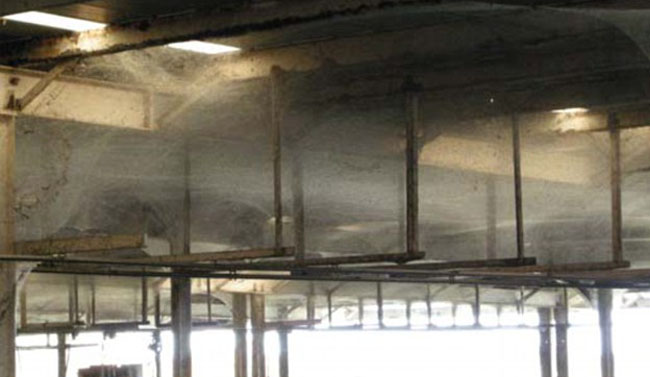 ΦΩΤΟ-Αράχνες “κάλυψαν” ολόκληρο εργοστάσιο