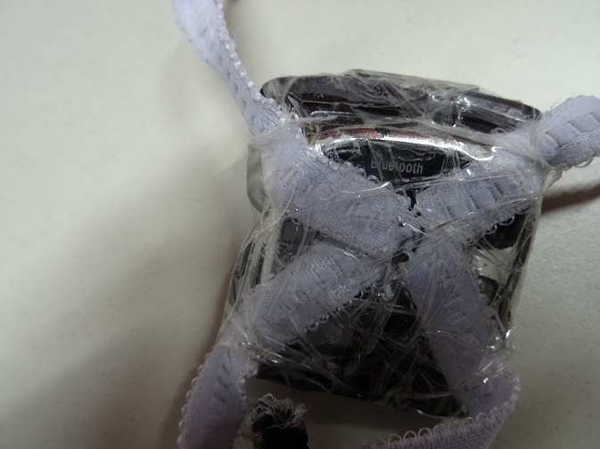 ΦΩΤΟ-Με περιστέρι θα περνούσαν ηλεκτρονικές συσκευές στις φυλακές