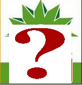 ΦΩΤΟ-Το κόκκινο στο νέο σήμα του ΠΑΣΟΚ