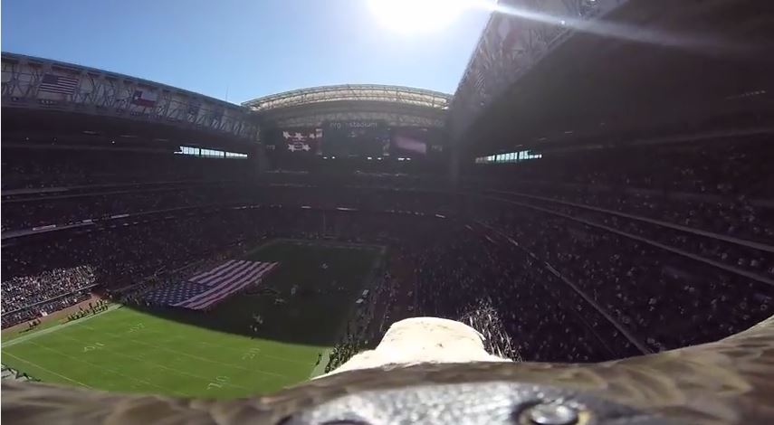 ΒΙΝΤΕΟ-Αετός πετάει πάνω από αγώνα ποδοσφαίρου