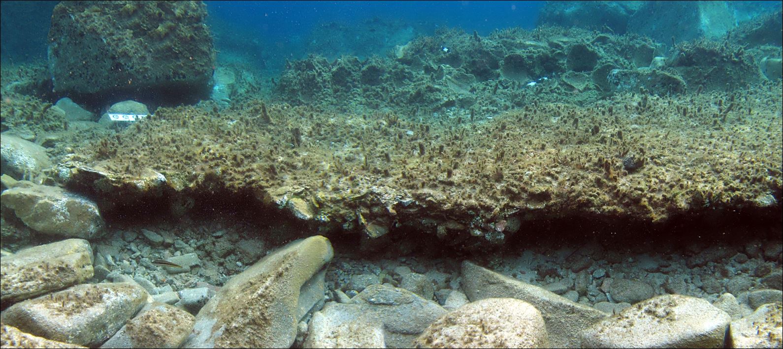 ΦΩΤΟ-Εντοπίστηκαν 16 πήλινα αγγεία στο βυθό της Δήλου