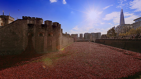 ΒΙΝΤΕΟ- Γεμάτος με παπαρούνες ο πύργος του Λονδίνου