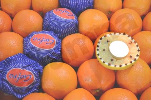 ΦΩΤΟ-Η γιορτή του πορτοκαλιού στην Αργολίδα