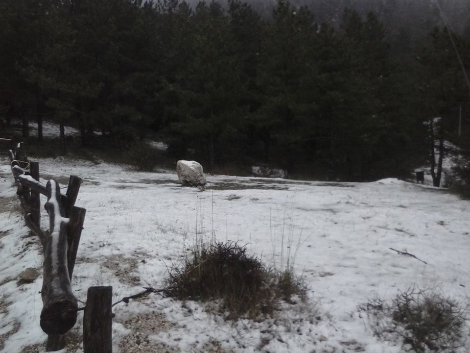 ΦΩΤΟ-Τα πρώτα χιόνια στη Πάρνηθα